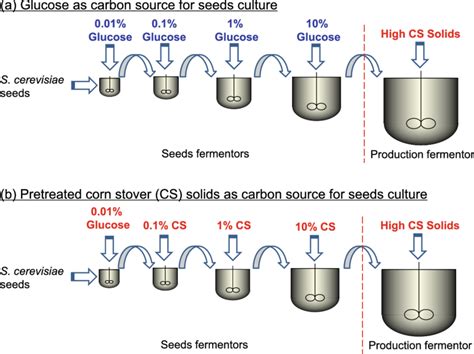 Schematic Diagram Of Yeast Seed Culture Using Freshly Pretreated Corn