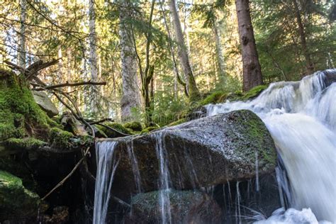 Cascade Falls Over Mossy Rocks Stock Photo Image Of Park Forest