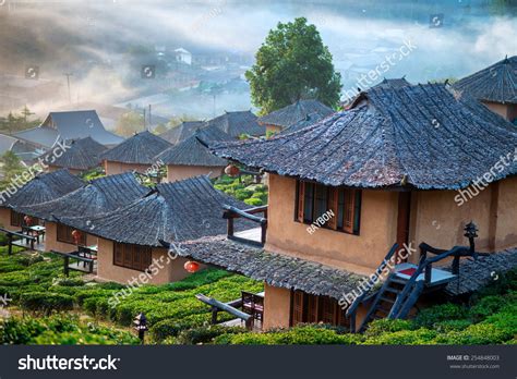 House Tea Plantation Stock Photo 254848003 Shutterstock