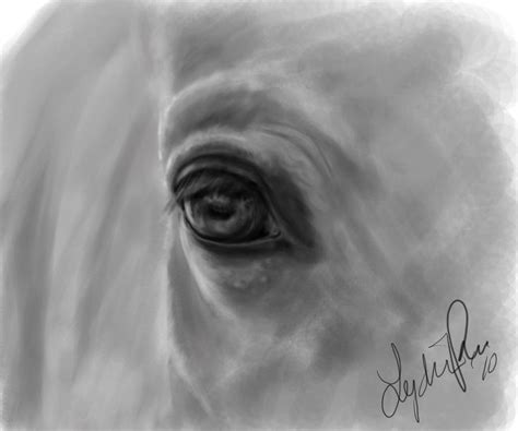 Horse Eye Sketch By Lydia888 On Deviantart