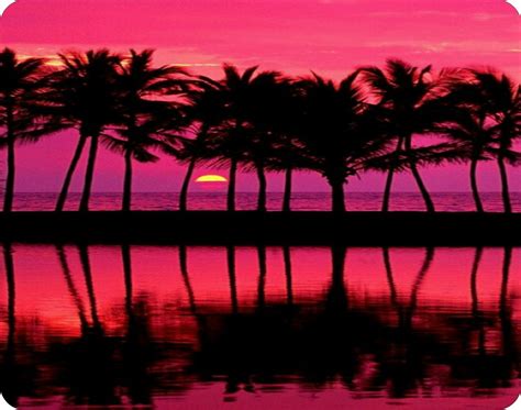 Mouse Pad Pink Palm Trees Computer Mousepad New Sunset