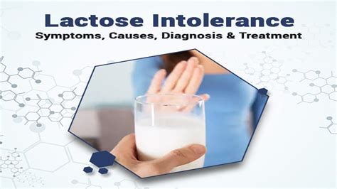 Lactose Intolerance Treatment Lactose Intolerance Causes Lactose