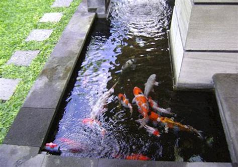 Jasa Pembuatan Kolam Ikan Koi Kolam Minimalis Taman Desa