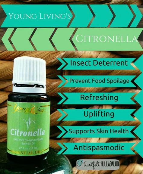 14 Best Images About Citronella Young Living On Pinterest Citronella