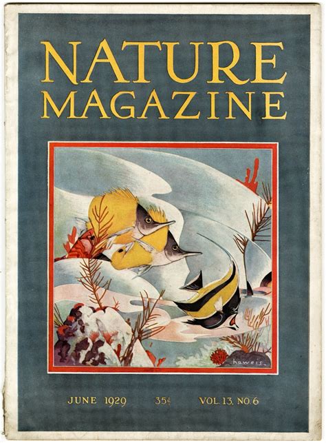 Nature Magazine Magazine Design Magazine Cover Photo Posters