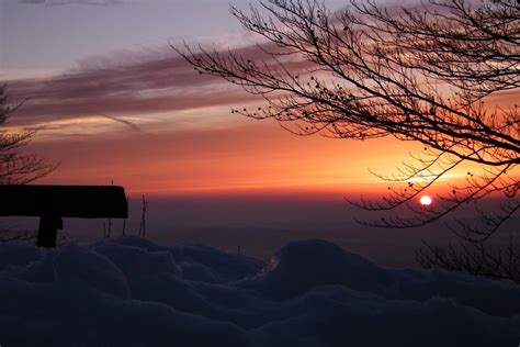 Evening Snow Landscape Free Image Download