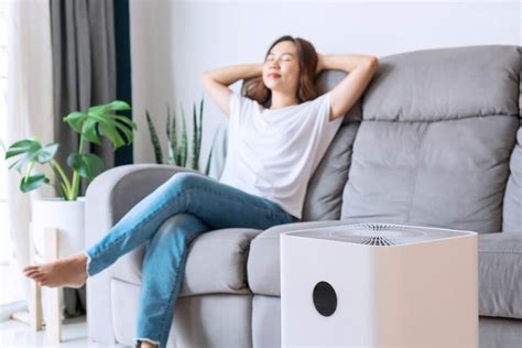Air Purifier With Washable Filter 7 Ways To Clean The Air In Your Home