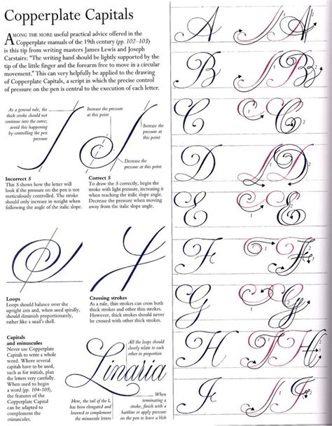 Copperplate Capitals 1 Hand Lettering Copperplate Calligraphy