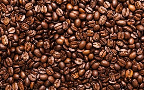 Wallpaper Toasted Coffee Beans Seeds 2560x1600 Hd Picture Image