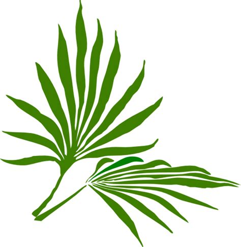 Download High Quality Palm Sunday Clipart Easter Transparent Png Images
