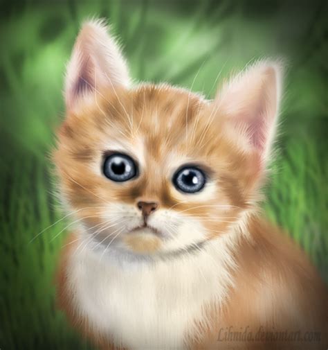Cat My First Digital Painting By Lihnida On Deviantart
