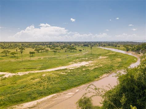 Tarangire River Bed Valley In The Tarangire National Park Manyara