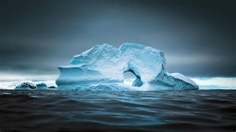Floating Ice Cap Cierva Cove Iceberg Ice Formation Snow Melting