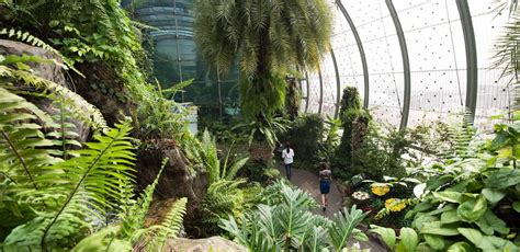 Airport blvd | changi airport, terminal 3, departure transit lounge, level 2 & 3, singapur, singapur. Be inspired by Changi Airport's captivating gardens