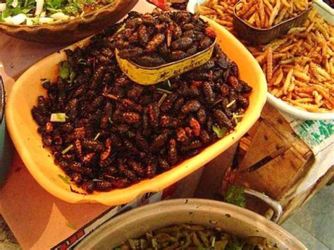 7 Insectos Que No Sabías Que Eran Comestibles Sabrosía