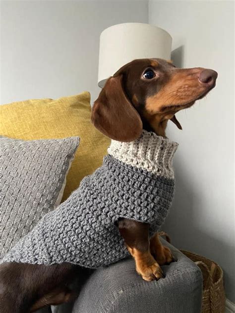 10 Cute Crochet Patterns For A Dog Sweater A More Crafty Life