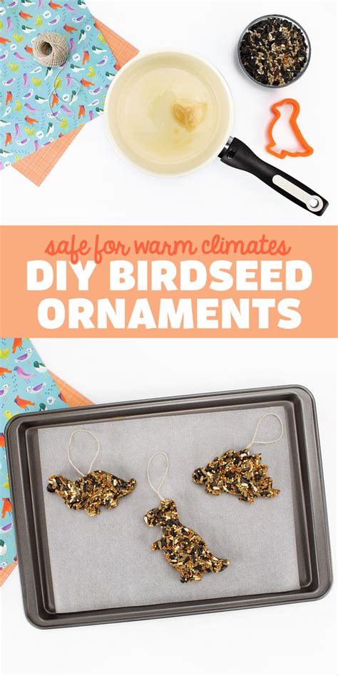 How To Make Birdseed Ornaments Without Gelatin Bird Seed Ornaments