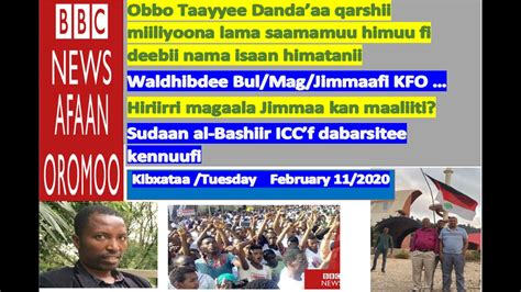 O Bbc News Afaan Oromo Tuesdayfebruary 11 2020oduu Afaan Oromoo