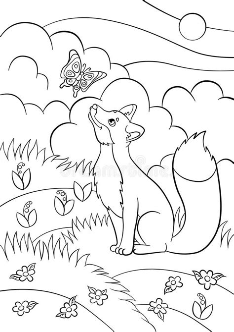 The fox is an intelligent, curious animal with brilliant hunting skills and a beautiful coat. Coloring Pages. Wild Animals. Little Cute Fox Looks At The ...