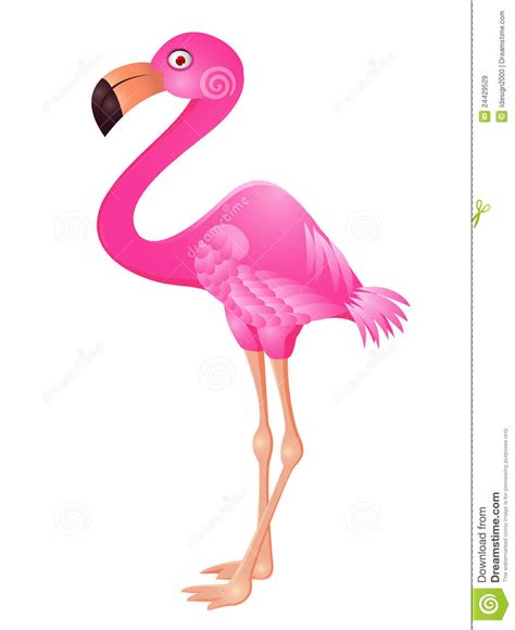 Funny Flamingo Cartoon Stock Illustration Illustration Of