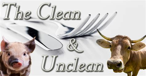 The Clean And Unclean