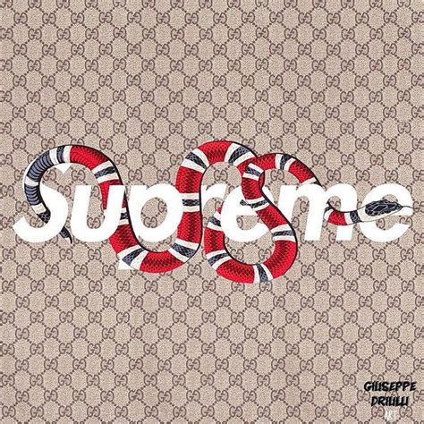 15 Supreme Gucci Wallpapers On Wallpapersafari