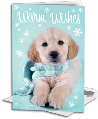 Warm Winter Cuddles Deluxe Folding Card Smartpractice Eye Care