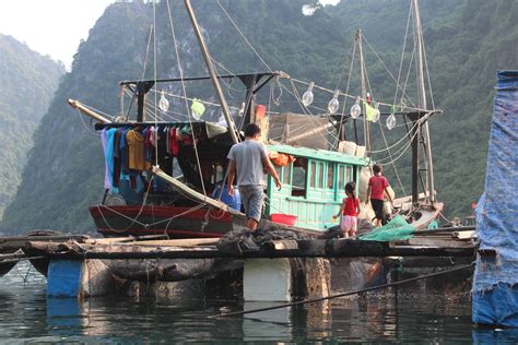 House Boats In Halong Bay Vietnam The Travel Guru