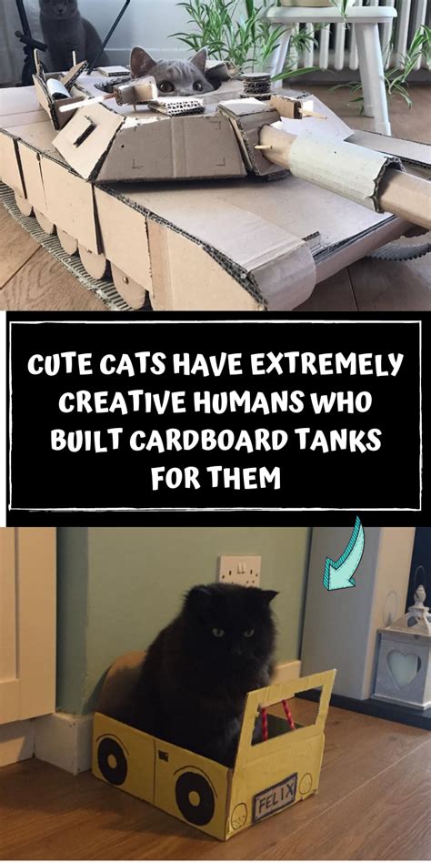 Animals And Pets Funny Animals Cat Tanks Animal Kingdom Amusing