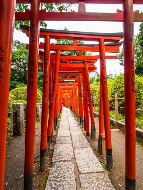 Impressive Path Covered By Red Gates At Nezu Jinja Shrine In Tokyo