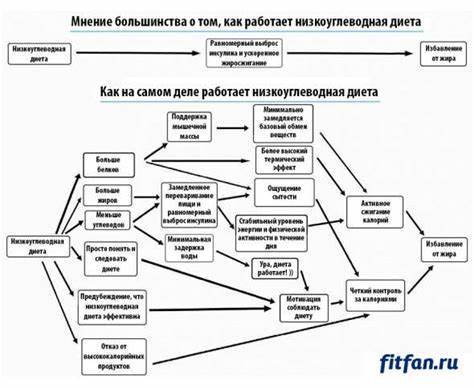 Низкоуглеводная диета хлебцы Как работает низкоуглеводная диета - наглядная схема Как работает низкоуглеводная диета - наглядная схема Низкоуглеводная диета хлебцы