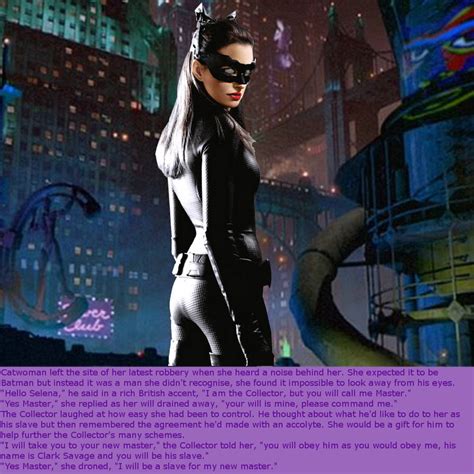 Collector Claims Catwoman For Clarksavage By Phantasam114 On Deviantart