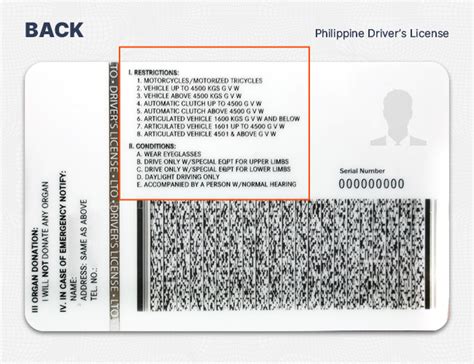 Philippine Drivers License Guide Everything You Need To Know