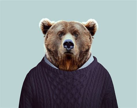 Grizzly Bear Ursus Arctos Bear Art Pet Portraits
