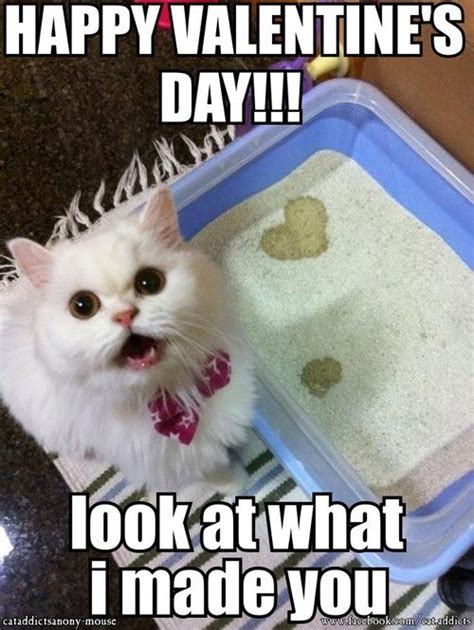 Searching For Valentines Day Memes Choose From Our Collection Of Cute And Funny Valentines Day