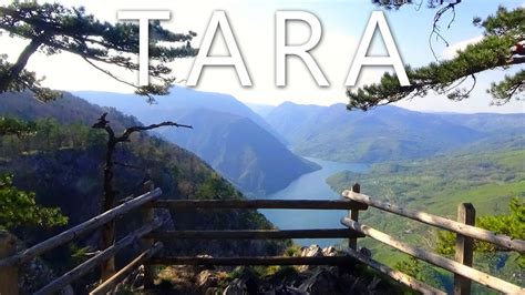 Tara National Park Serbia Youtube
