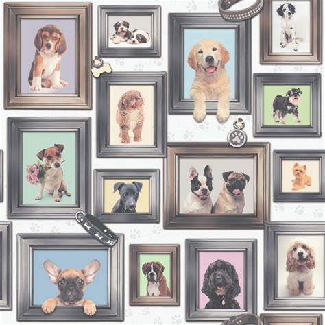 Dog Themed Wallpaper Animal Pug Puppy Frames Selfies Various Designs