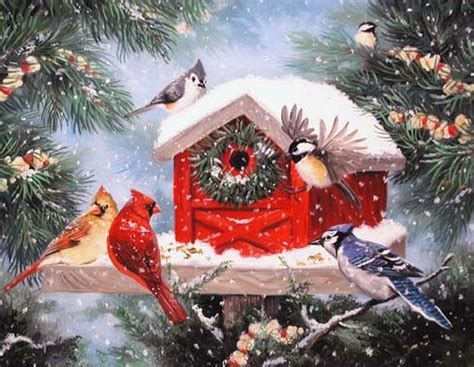 Red Bird In Snow Wallpaper Wallpapersafari