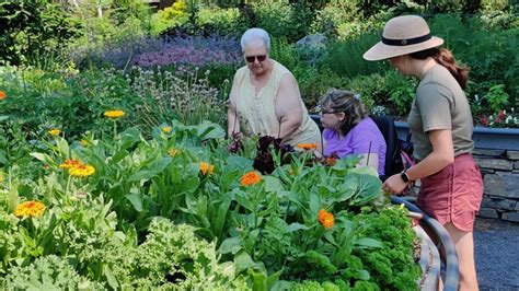 Forecasting Growth Horticultural Therapy Improves Mental Health Wgme