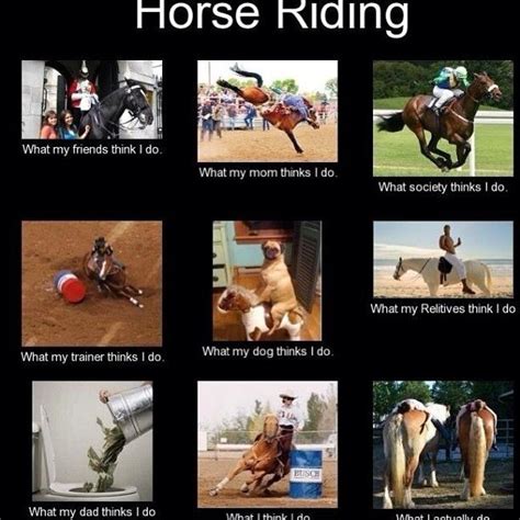 88 Best Images About Horse Memes On Pinterest