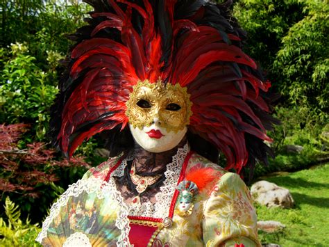 Fotos Gratis Flor Carnaval Festival Máscaras Disfraz Máscara De
