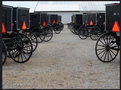 Everything You Want To Know About Amish Beliefs Timber To Table