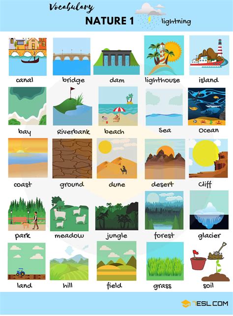 Nature Words Useful Nature Vocabulary In English • 7esl