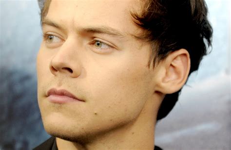 Fans Disgusted After Singer Harry Styles Was Sexually Assaulted On Stage