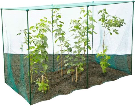 Gardenskill Fruit And Vegetable Garden Cage Kit With Butterfly Netting