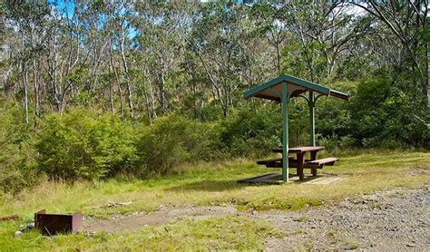 Park Bench And Open Fire Place Barrington Top National Park Photo