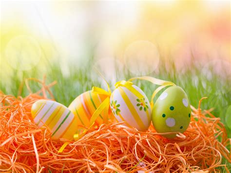 Photo Easter Egg Hay Holidays Design 1600x1200
