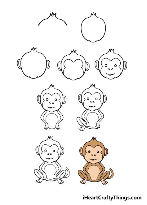 How To Draw A Baby Monkey Easy Step By Step Rose Pruch1952