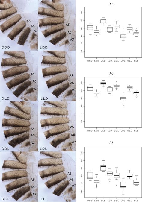 Strong Epistatic And Additive Effects Of Linked Candidate Snps For