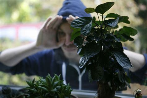 Burglar ‘code Of Signs And Symbols Marking Your Home Before A Break In